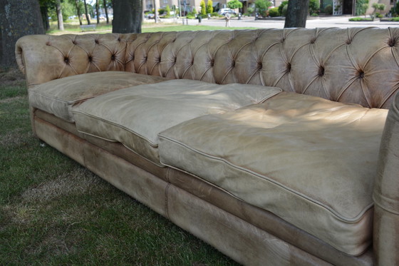 Image 1 of Canapé Chesterfield