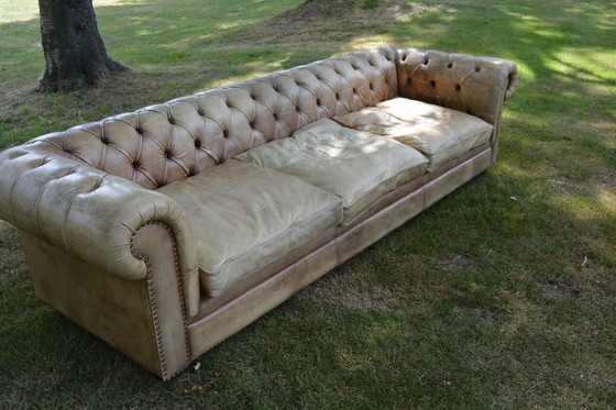 Image 1 of Canapé Chesterfield