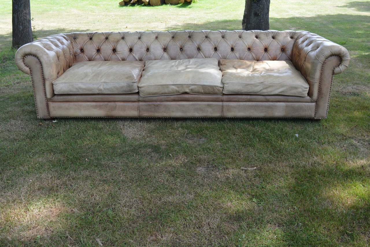 divano Chesterfield
