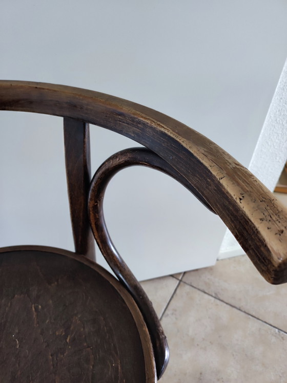 Image 1 of Sedia Cosmos Thonet