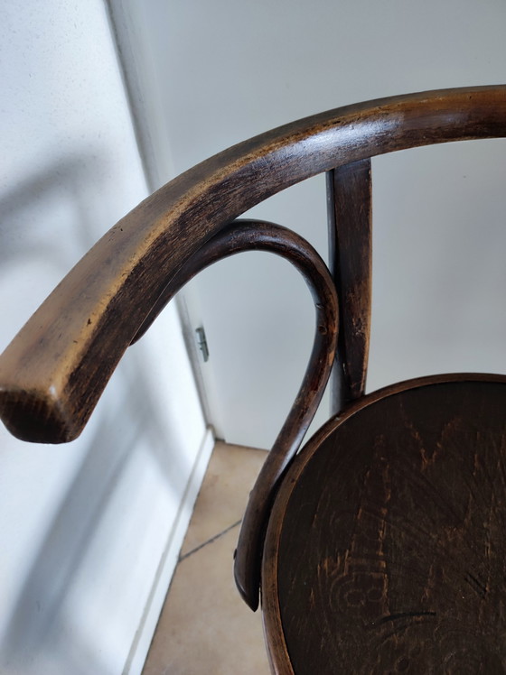 Image 1 of Sedia Cosmos Thonet