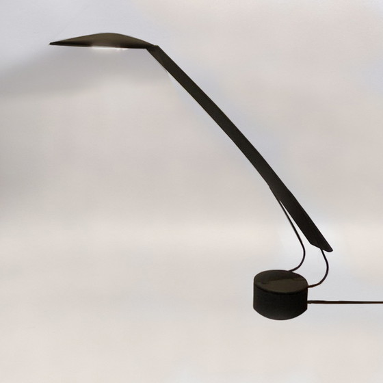 Image 1 of PAF Studio Dove table lamp