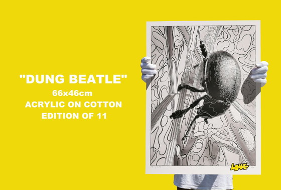 Image 1 of LOVE - Dung beatle 1 - 11