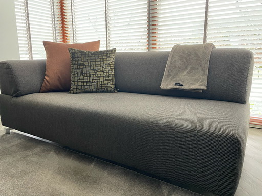 Leolux Faya Lobi 2.5 seater sofa