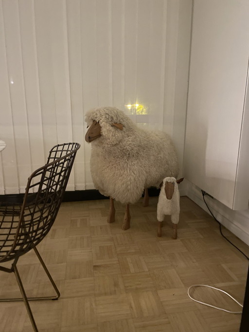 Hans peter krafft sheep