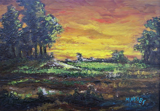 Image 1 of Jan Makkes - Sun-drenched landscape