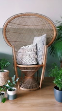 Peacock chair vintage