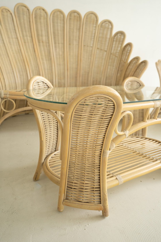 Image 1 of Palm Beach rattan set