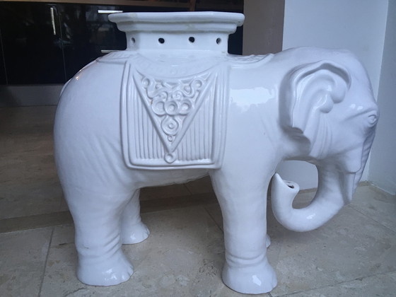 Image 1 of Estrela de Conimbriga Elephant plant chair