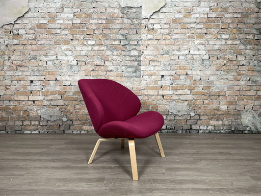 Softline Eden purple - armchair