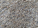 Brink en Campman rond Quartz