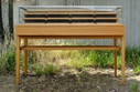 Vintage showcase counter