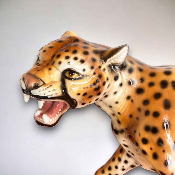 Image 1 of Vintage Leopards