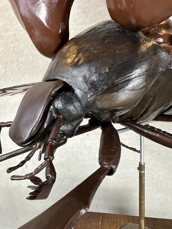 Image 1 of XXL didactic model 'the cockchafer'