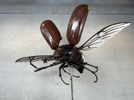 Image 1 of XXL didactic model 'the cockchafer'