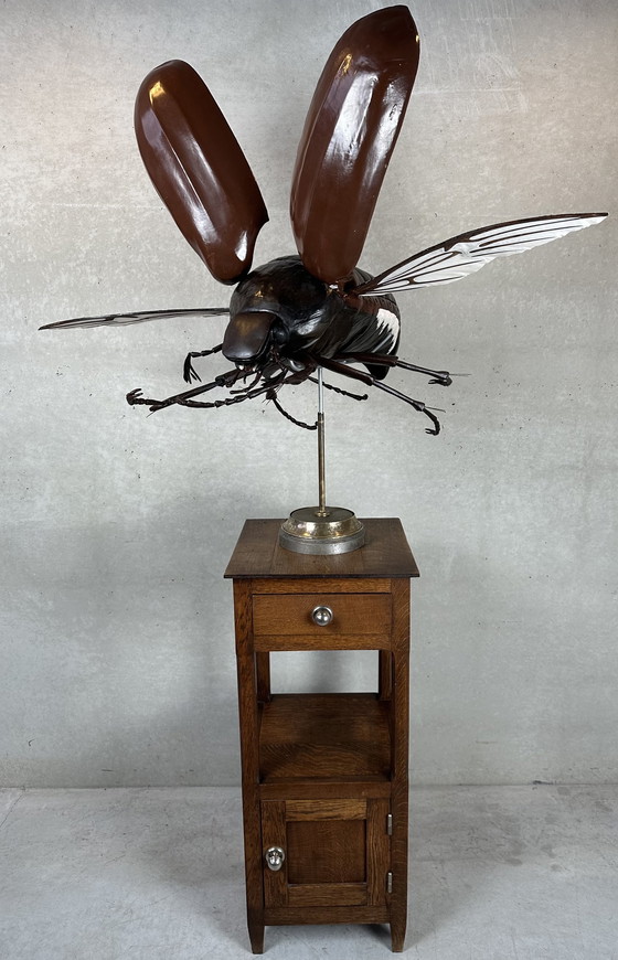 Image 1 of XXL didactic model 'the cockchafer'