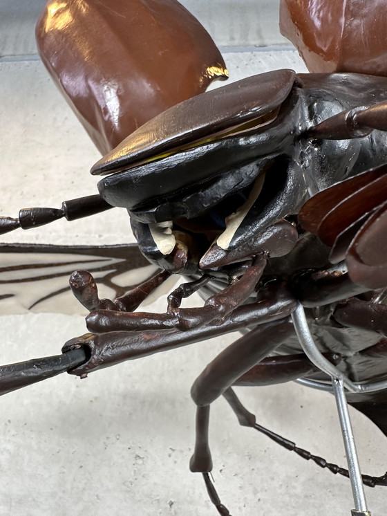 Image 1 of XXL didactic model 'the cockchafer'