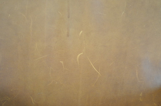 Image 1 of 6x Bert Plantagie Plof dining room armchair