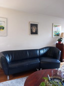 Leolux Pupilla sofa + chaise longue