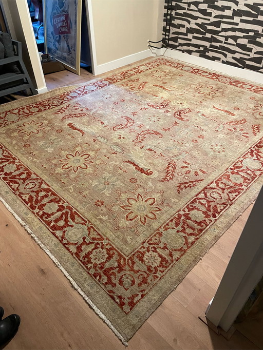 Ziegler rug