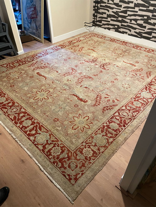 Ziegler rug