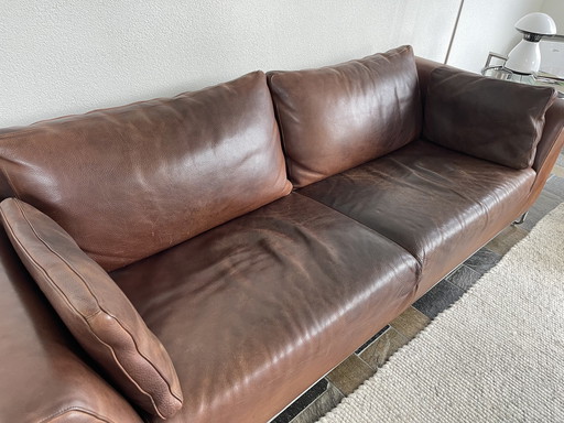 Molinari quadro sofa