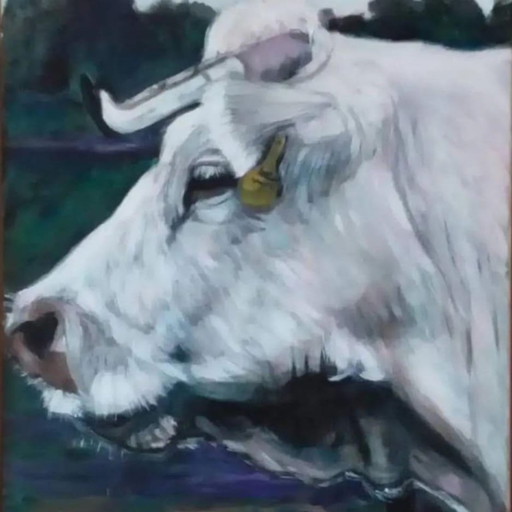 Tineke Van Steenbergen. Vache sur la lande