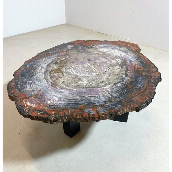 Image 1 of Table basse en bois pétrifié du milieu du siècle, Belgique 1970
