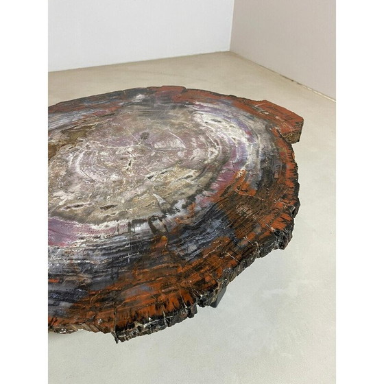 Image 1 of Table basse en bois pétrifié du milieu du siècle, Belgique 1970