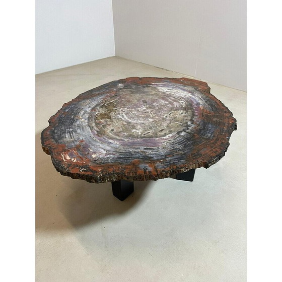 Image 1 of Table basse en bois pétrifié du milieu du siècle, Belgique 1970