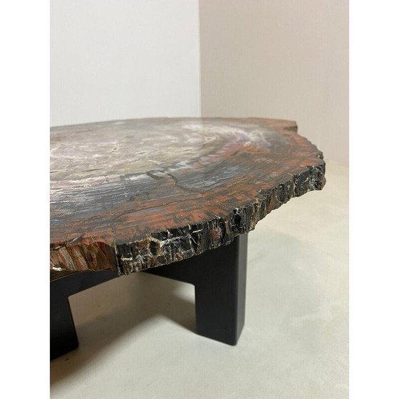 Image 1 of Table basse en bois pétrifié du milieu du siècle, Belgique 1970