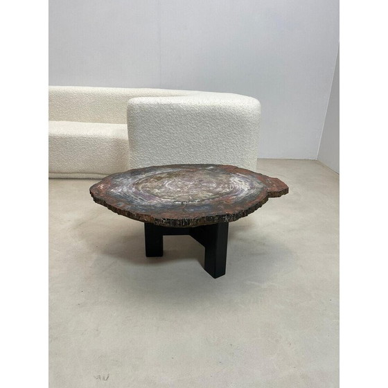 Image 1 of Table basse en bois pétrifié du milieu du siècle, Belgique 1970