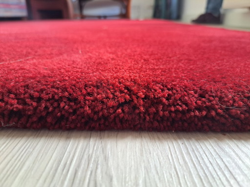 Tapis rouge à poils épais