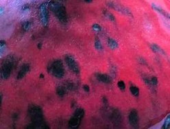 Image 1 of Carstens Fat Lava Vase Mid Century