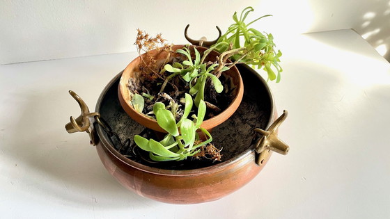 Image 1 of Cache-Pot Suspendu Aux 3 Buffles Vintage