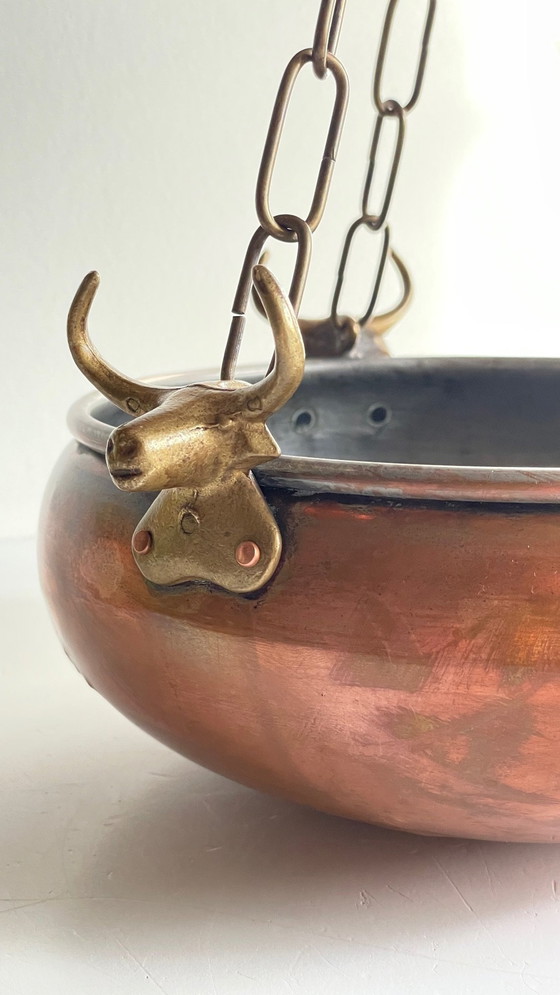 Image 1 of Cache-Pot Suspendu Aux 3 Buffles Vintage