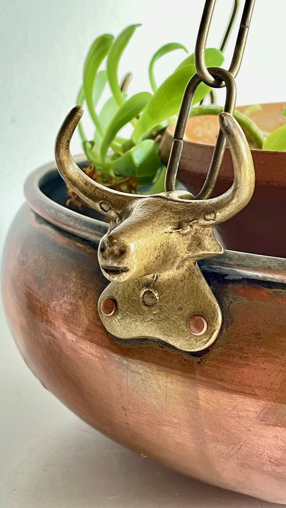 Image 1 of Cache-Pot Suspendu Aux 3 Buffles Vintage