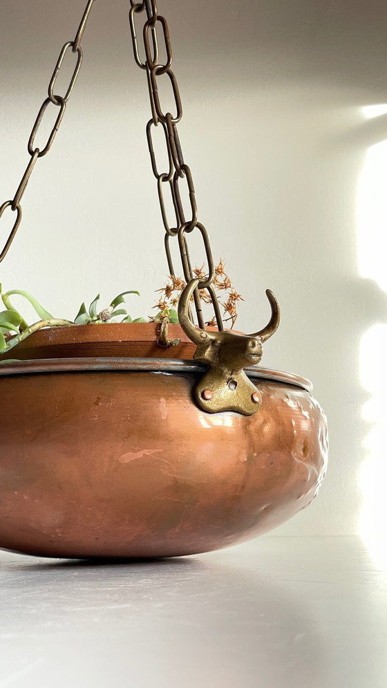 Image 1 of Cache-Pot Suspendu Aux 3 Buffles Vintage