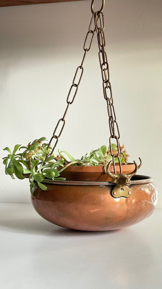 Image 1 of Cache-Pot Suspendu Aux 3 Buffles Vintage
