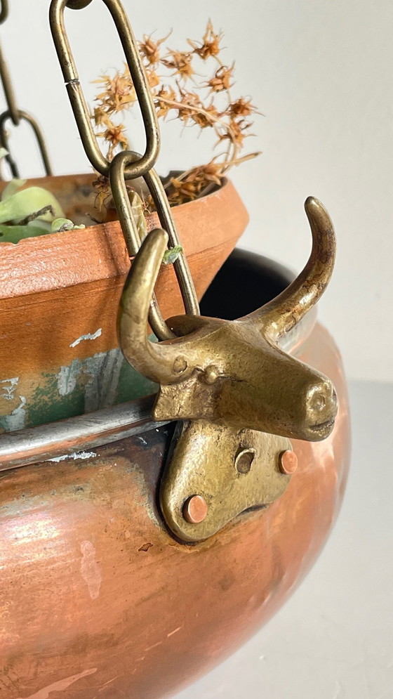 Image 1 of Cache-Pot Suspendu Aux 3 Buffles Vintage