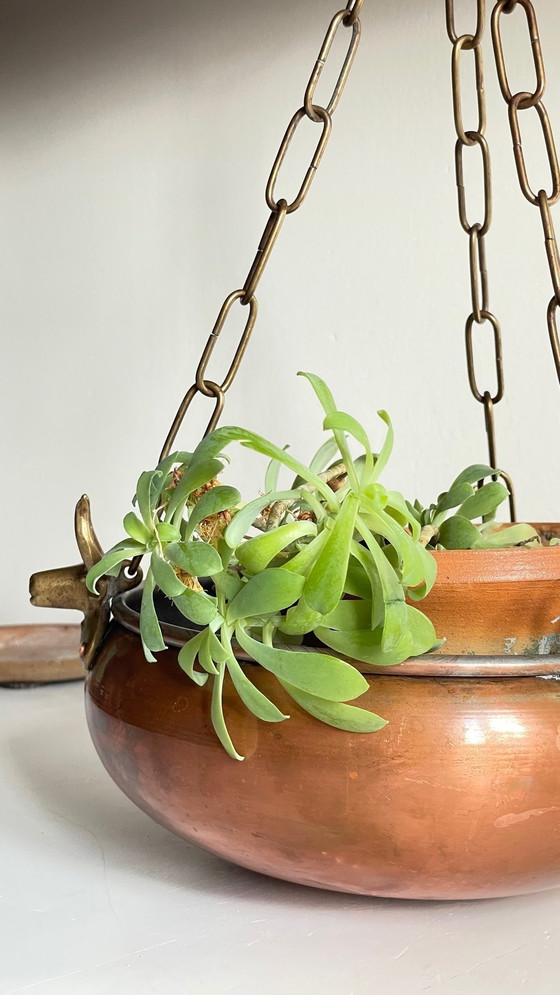 Image 1 of Cache-Pot Suspendu Aux 3 Buffles Vintage