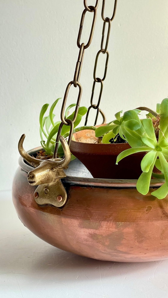Image 1 of Cache-Pot Suspendu Aux 3 Buffles Vintage