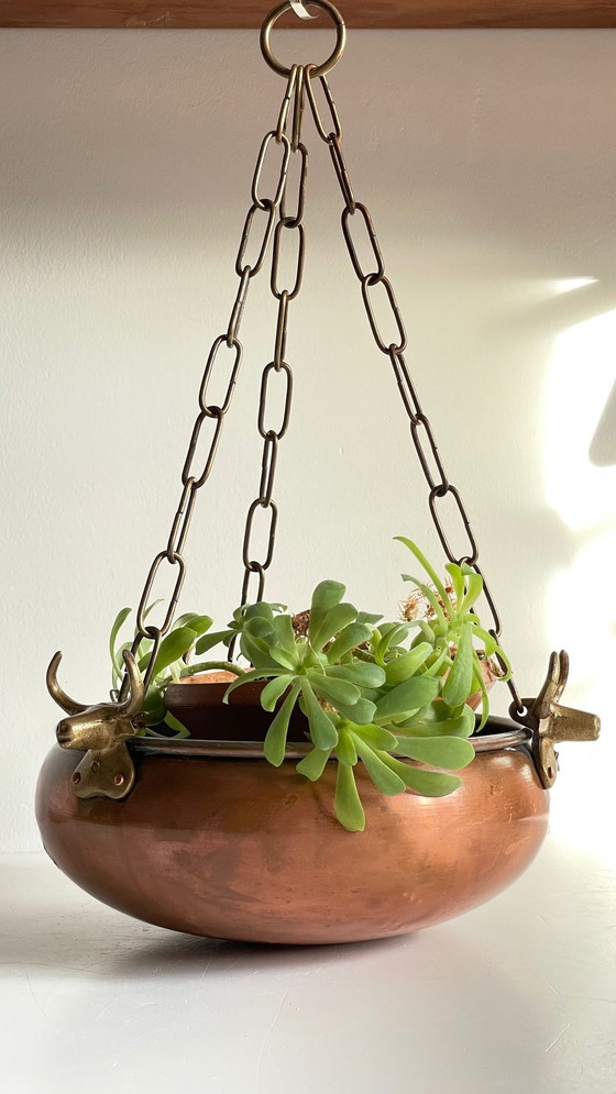 Image 1 of Cache-Pot Suspendu Aux 3 Buffles Vintage