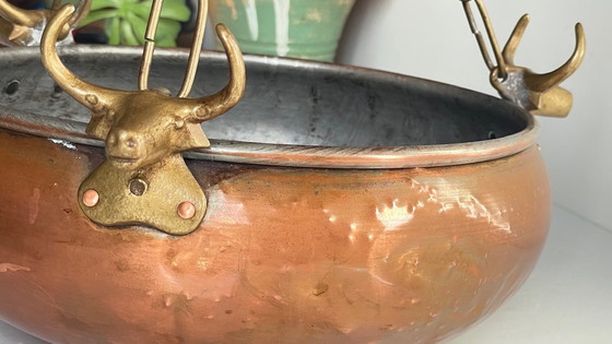 Image 1 of Cache-Pot Suspendu Aux 3 Buffles Vintage