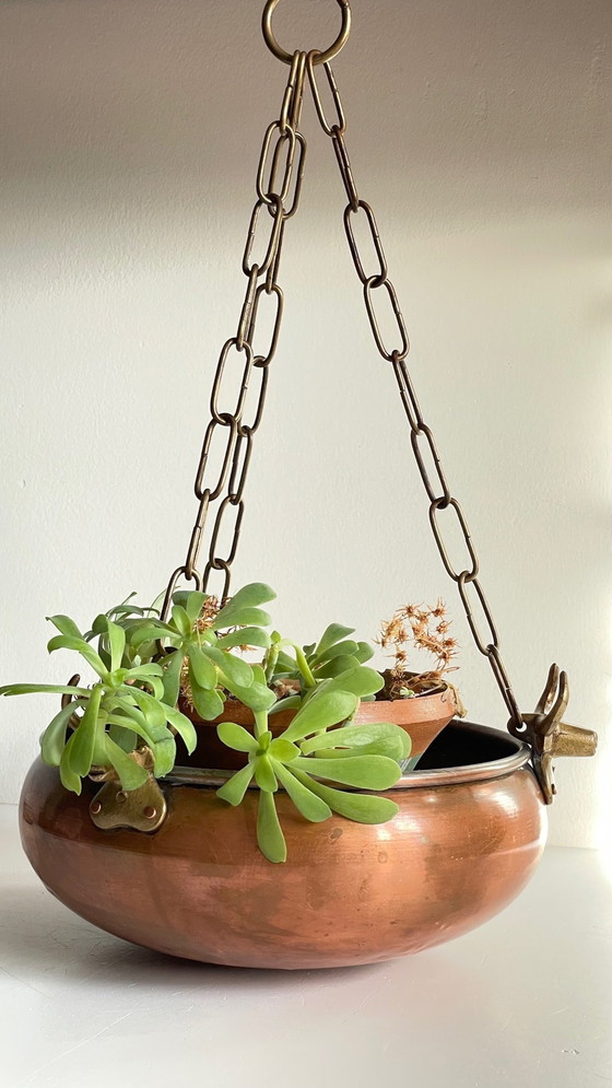 Image 1 of Cache-Pot Suspendu Aux 3 Buffles Vintage