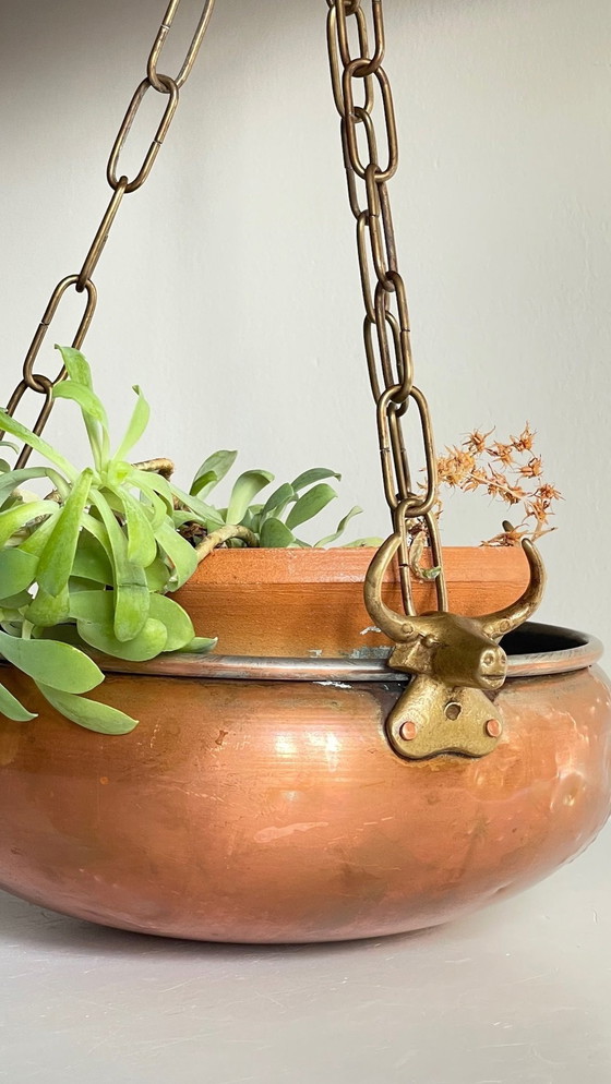 Image 1 of Cache-Pot Suspendu Aux 3 Buffles Vintage