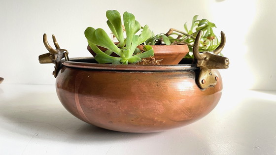 Image 1 of Cache-Pot Suspendu Aux 3 Buffles Vintage