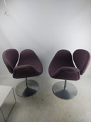 2 fauteuils Artifort Little Tulip 1960s