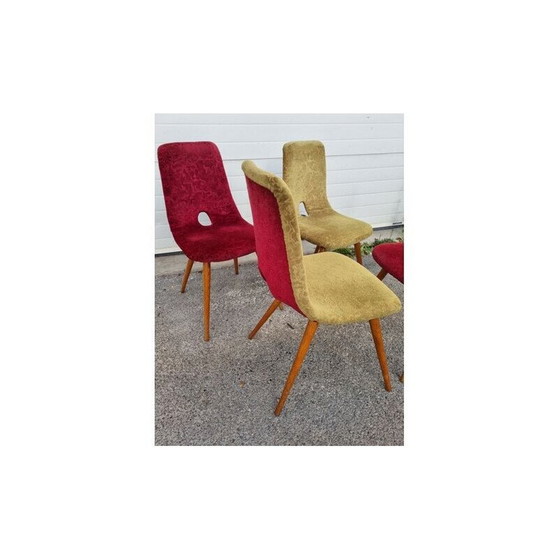 Image 1 of Ensemble de 4 chaises vintage de Miroslav Navratil, République tchèque 1960
