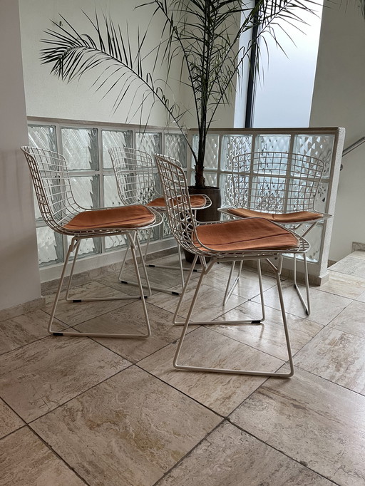 Knoll Bertoia Wire Chair, Sidechair, Modèle 420. Coussins d'origine inclus.